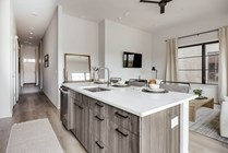Experience the elegance of modern urban living in this stylishly designed kitchen space.