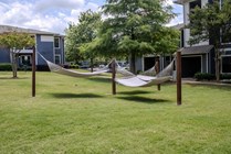 Hammocks