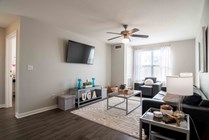 The-Flats-at-Carrs-Hill-Apartments-Near-UGA-Fully-Furnished-Living-Room