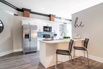 The-Flats-at-Carrs-Hill-Apartments-Near-UGA-Model-Unit-Premium-Kitchen