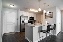 The-Flats-at-Carrs-Hill-Apartments-Near-UGA-Premium-Floor-Plan-Kitchen