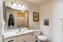 The-Flats-at-Carrs-Hill-Apartments-Near-UGA-Private-Bathroom
