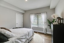 Paragon Luxury Apartments