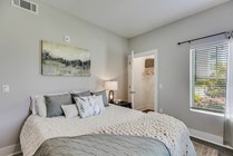 Paragon Luxury Apartments