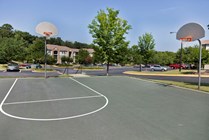 Basketball court