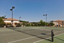 Tennis Courts