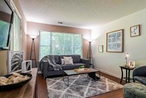 River-Club-Apartments-Near-University-of-Georgia-Living-Room
