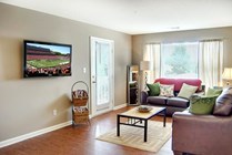 River-Club-Apartments-Off-Campus-Apartments-Near-The-University-of-Georgia-Athens-Georgia-Fully-Furnished-Living-Room-Door-to-Patio