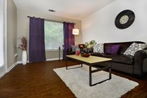 River-Club-Apartments-Off-Campus-Apartments-Near-The-University-of-Georgia-Athens-Georgia-Furnished-Living-Room
